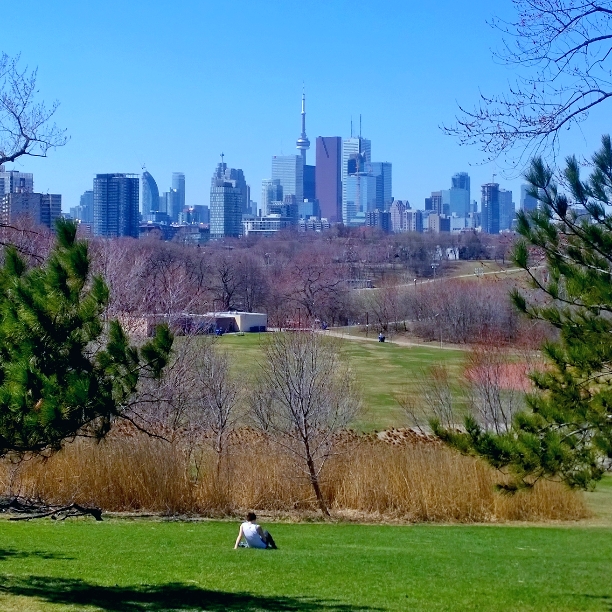Toronto Income Property Newsletter: May 2015