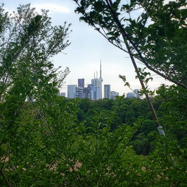 Toronto Income Property Newsletter – June 2019