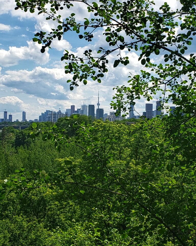 Toronto Income Property Newsletter – Summer 2022